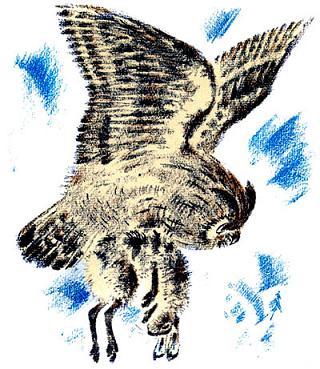 Сказки Бианки Виталий Валентинович -  Снежная книга Рис. 15