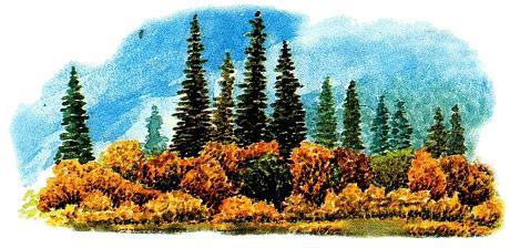 Сказки Бианки Виталий Валентинович -  Водяной конь Рис. 4