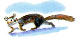 Сказки Бианки Виталий Валентинович -  Голубой зверёк Рис. 2