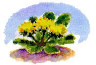 Сказки Бианки Виталий Валентинович -  Заяц, косач, медведь и весна  Рис. 4